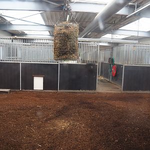 Okapi indoor housing, 2022-06-12