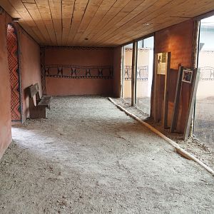 Okapi house viewing area, 2022-06-12