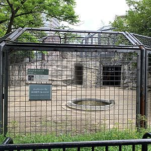 Barbary Sheep Exhibit