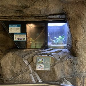 Gecko Exhibits