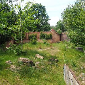 Nepalese red panda exhibit, 2022-06-12