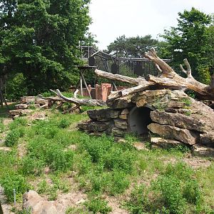 Indian sloth bear, Asian small-clawed otter and Corsac fox exhibit, 2022-06-12