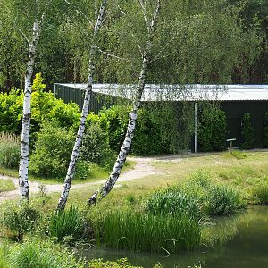 Show bird housing building, 2022-06-12
