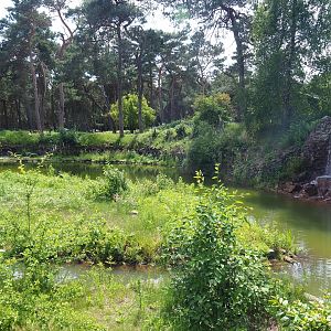 African penguin exhibit, 2022-06-12