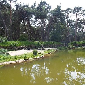 African penguin exhibit, 2022-06-12