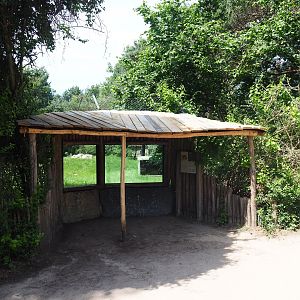 Cheetah viewing area, 2022-06-12