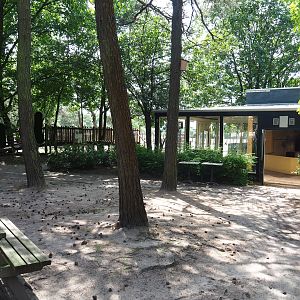 Viewing areas for Southern white rhinoceros indoor housing and separation paddock, 2022-06-12