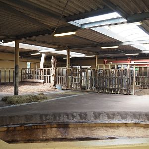 Southern white rhinoceros stables, 2022-06-12
