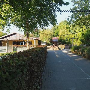 Walkway to entrance with red panda climbing structures, 2022-10-09