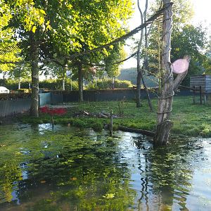 Nepalese red panda and Asian small-clawed otter exhibit, 2022-10-09