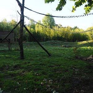 Nepalese red panda and Asian small-clawed otter exhibit, 2022-10-09