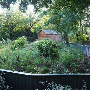 Former meerkat exhibit, 2022-10-09