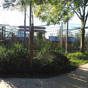 Madidi - Monkey and sloth walk-through exhibit and South American aviary, 2022-10-09