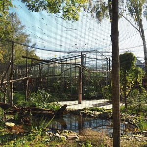 Linnaeus' two-toed sloth, Golden lion tamarin and White-faced saki walk-through exhibit, 2022-10-09