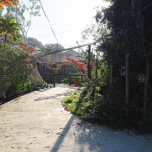 Madidi - South American aviary visitor area, 2022-10-09