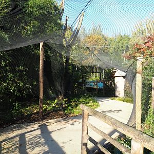 Madidi - South American aviary visitor area, 2022-10-09