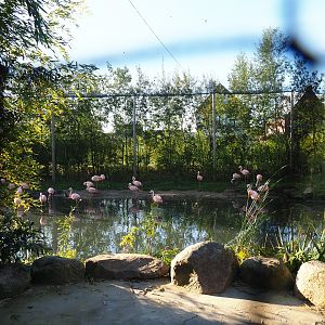 Madidi - South American aviary, 2022-10-09