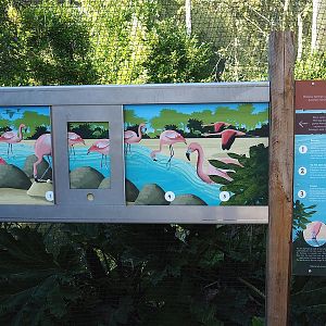 Chilean flamingo ecology and behavior educational signage, 2022-10-09