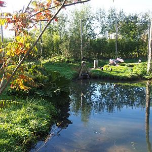 Madidi - South American aviary, 2022-10-09