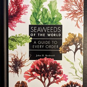 Seaweeds of the World: A Guide to Every Order