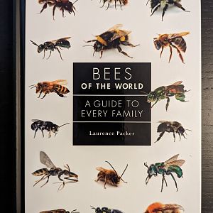 Bees of the World: A Guide to Every Family