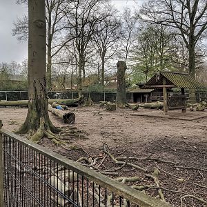 Reindeer enclosure