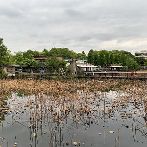 Lake- View of Ring-tailed Lemur Exhibit