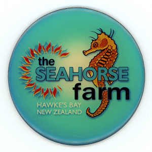 Magnet from The Seahorse Farm (Hawke’s Bay) (Closed in 2006)