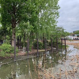 Goose and Stork Enclosure