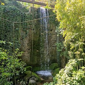 Waterfall, Okapi Sanctuary