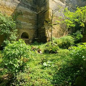 Javan Leopard exhibit, Leopard Canyon