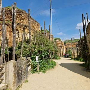 South American Aviary