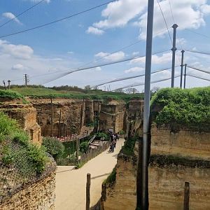 South American Aviary