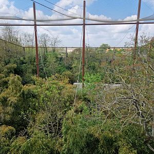 Okapi Sanctuary 2nd level