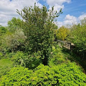 Sumatran Tiger exhibit