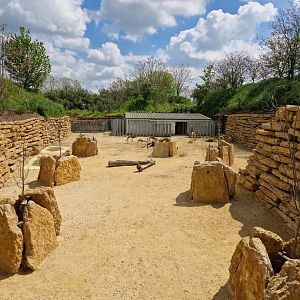 Mhorr Gazelle side exhibit