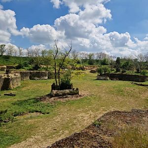 The  Valley of the Black Rhino