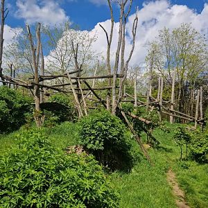 Spectacled Bear exhibit