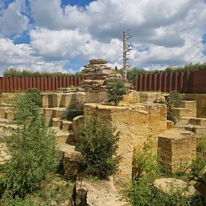 Snow Leopard exhibit, the gosts of Hymalaya