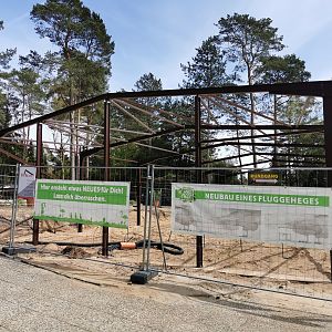 Update on the new entrance aviary