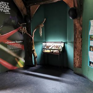 New terrarium in the Kolibrihaus