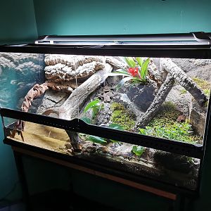 New terrarium closeup