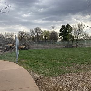 Lion Exhibit Construction - May 2023