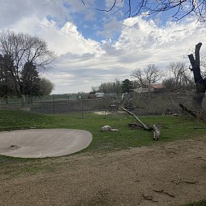 Lion Exhibit Construction - May 2023