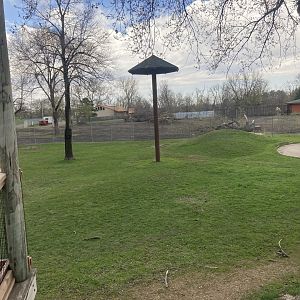 Lion Exhibit Construction - May 2023