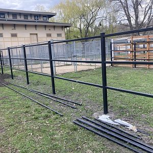 New Fencing/Expanded Giraffe Exhibit