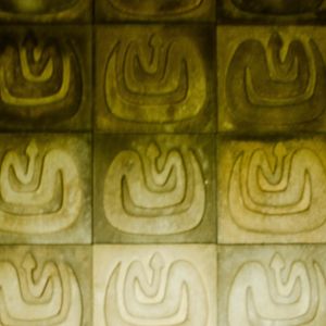 The tile in the reptile house