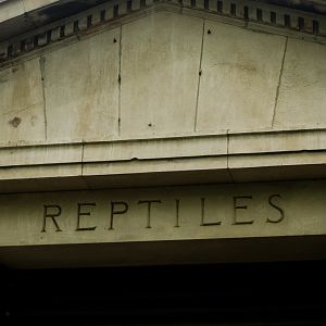 Reptile house