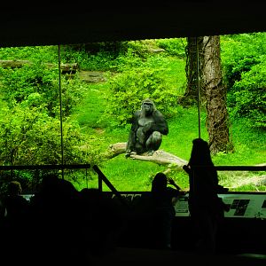 My favorite picture I shot that day