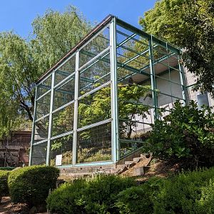 Blakiston's fish owl exhibit